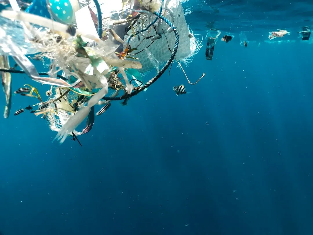 North Bay Business Journal